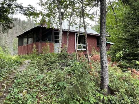 Le chalet Baribal est niché en forêt, entouré d'une végétation dense.