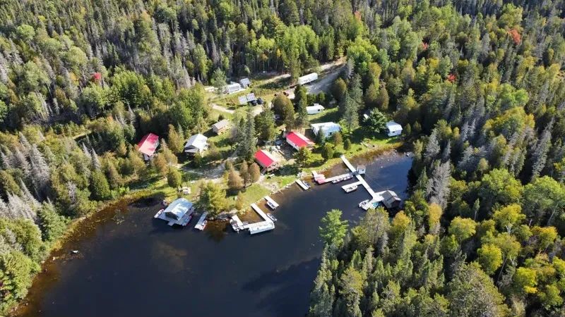 Aerial view of our lakeside cottages, surrounded by the forest.
