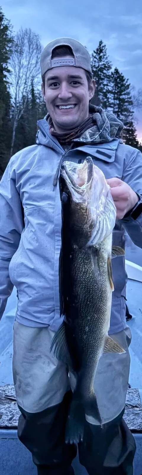 Pêche Grand corégone chez Cedar Valley Lodge, Abitibi-Témiscamingue, Québec
