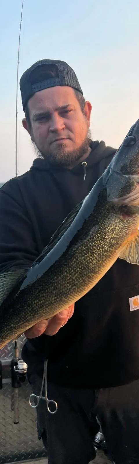 Pêche Doré chez Cedar Valley Lodge, Abitibi-Témiscamingue, Québec