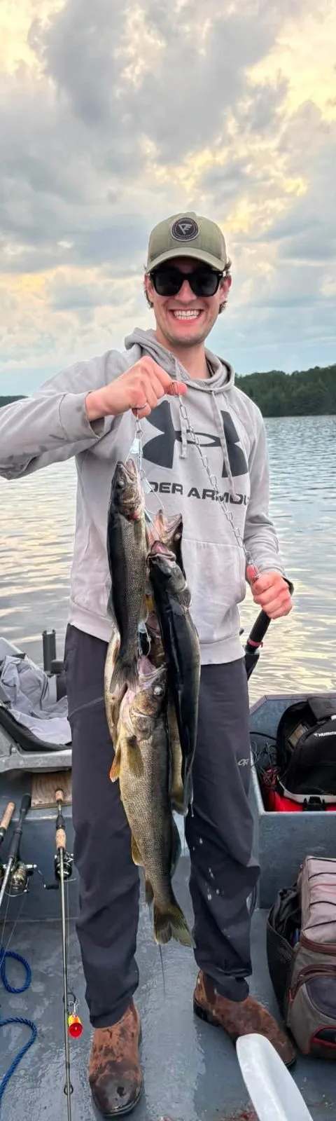 Pêche Doré chez Cedar Valley Lodge, Abitibi-Témiscamingue, Québec — photo 2