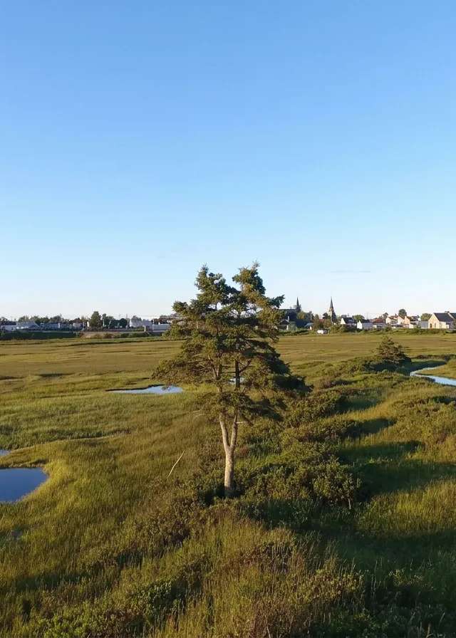 Photo de Pourvoirie Lac des Îles - Conseil des Innus de Betsiamites sur la Côte-Nord, Qc