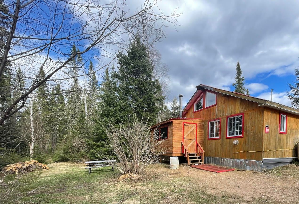 Exterior view of cabin 10 surrounded by the forest.