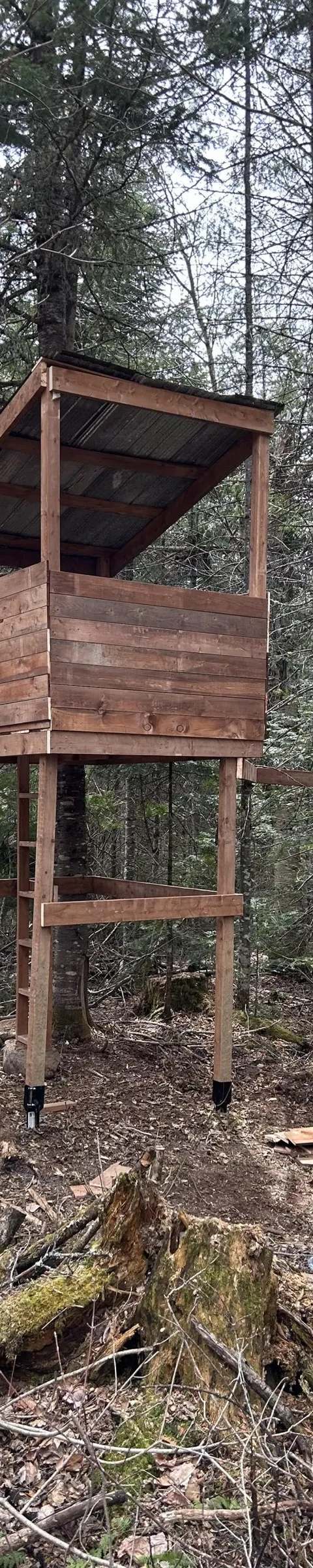 Hunting blind set up for bear at Pourvoirie Lac du Repos, Lanaudière, Quebec