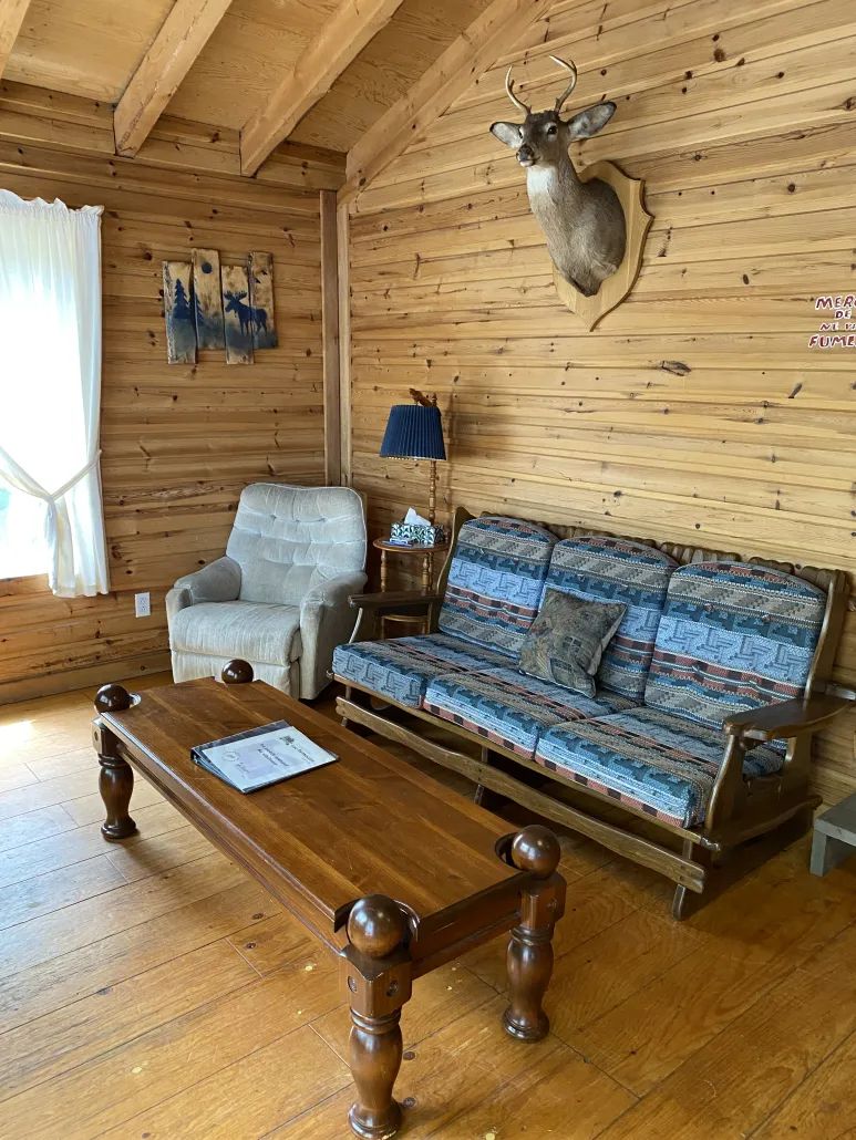 Le salon du chalet est aménagé avec un canapé confortable, un fauteuil et des boiseries rustiques.