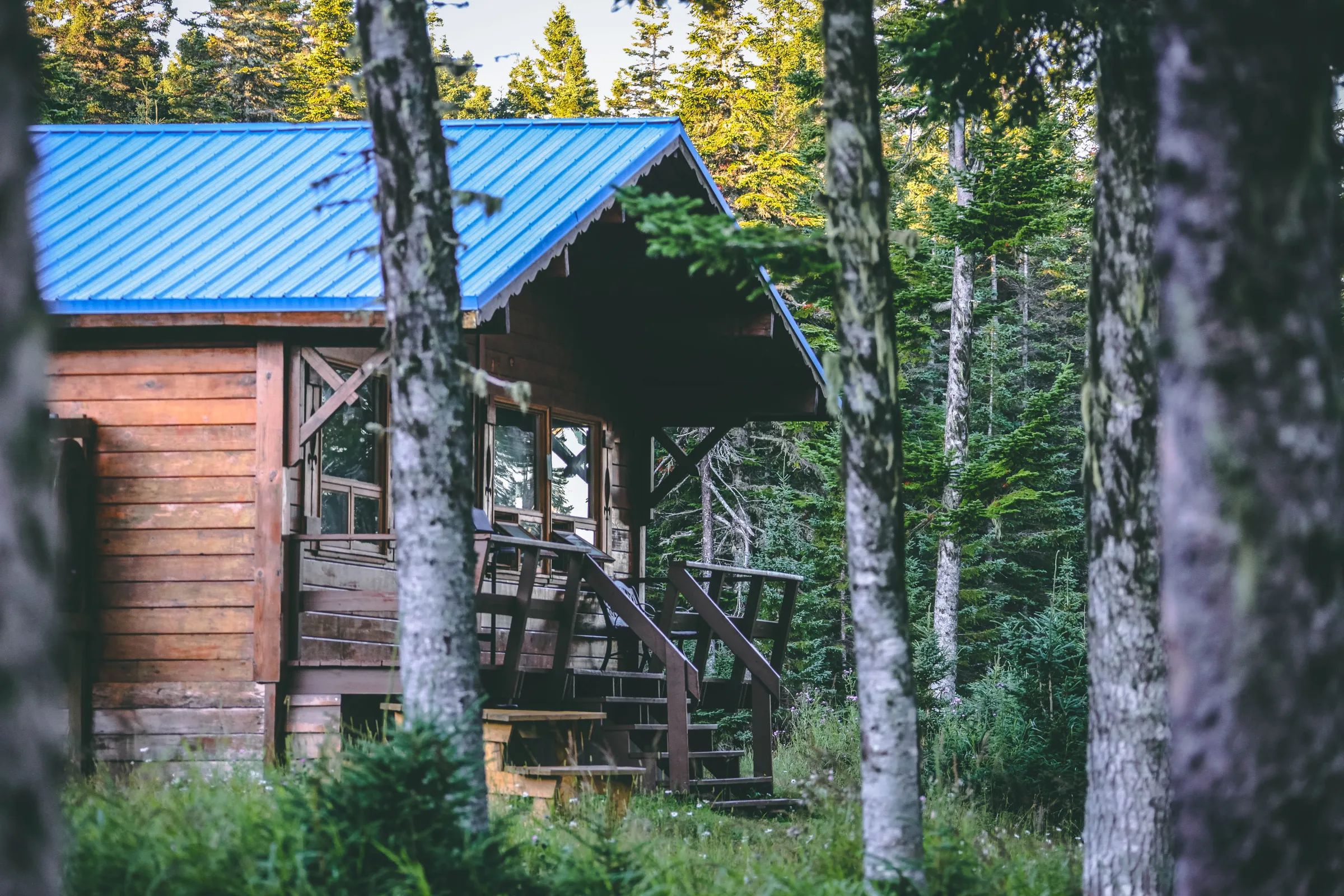 A wooden cabin with a blue roof surrounded by the forest.