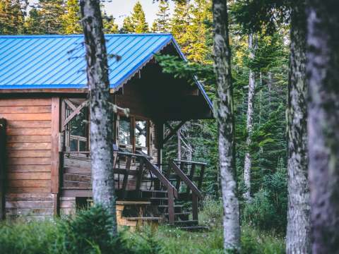 A wooden cabin with a blue roof surrounded by the forest.
