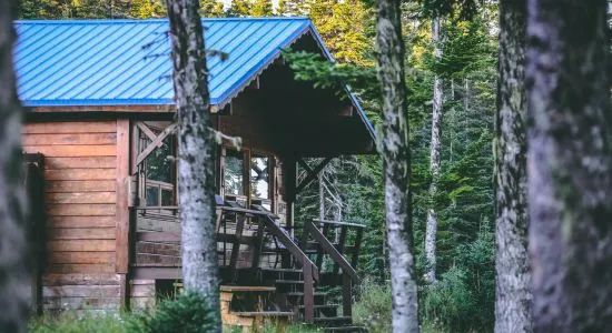 A wooden cabin with a blue roof located in the forest.