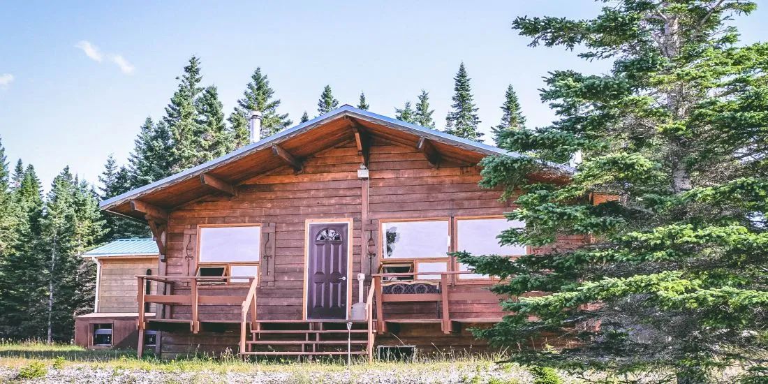 Exterior view of a wooden cabin surrounded by coniferous trees.