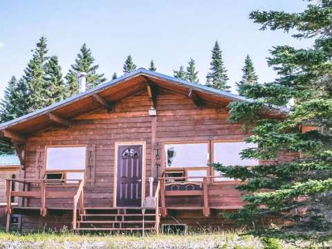 Exterior view of a wooden cabin surrounded by coniferous trees.