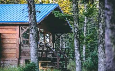A wooden cabin with a blue roof located in the forest.