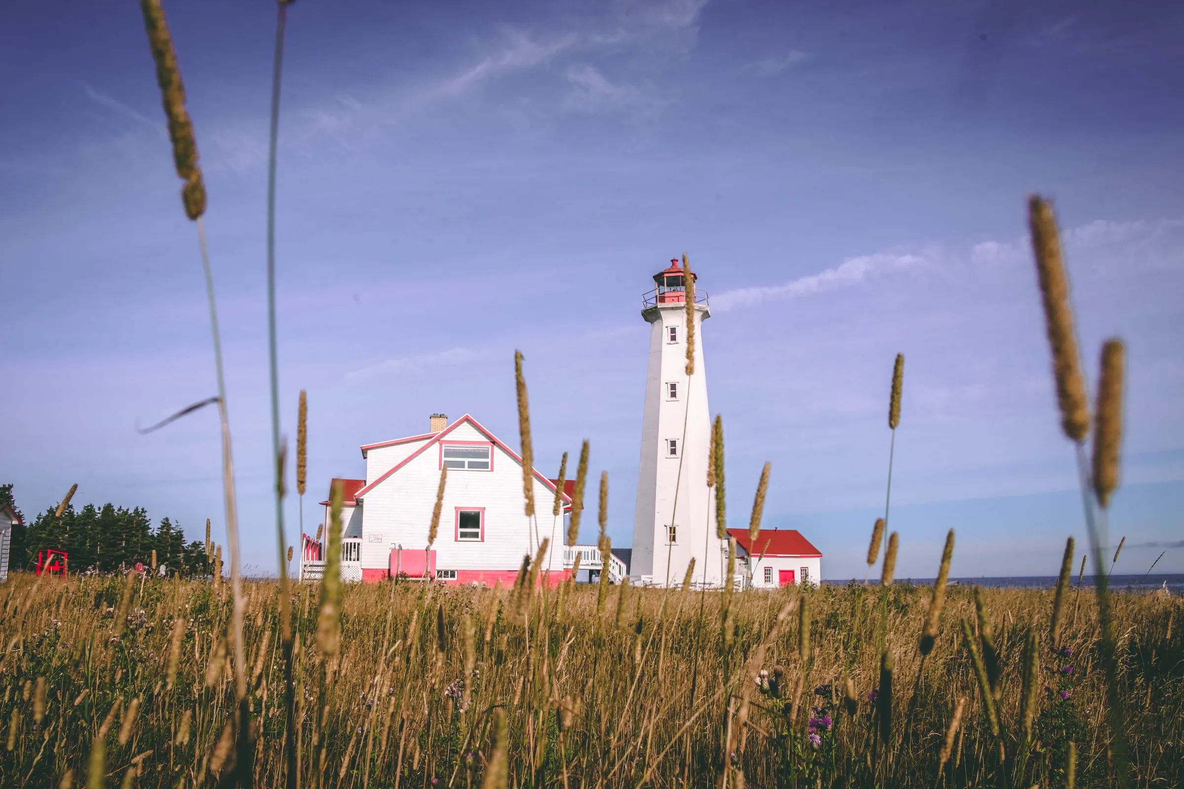 Exterior view of the lighthouse and adjacent buildings surrounded by tall grass.