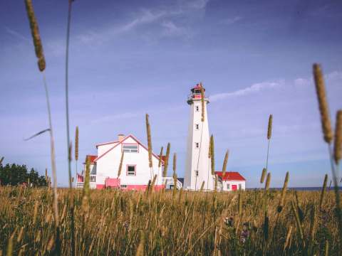 Exterior view of the lighthouse and adjacent buildings surrounded by tall grass.