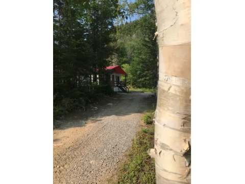 View of cabin number sixteen surrounded by the forest and accessible by a dirt road.