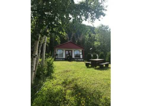 Exterior view of the cabin surrounded by trees with a picnic table on the grounds.