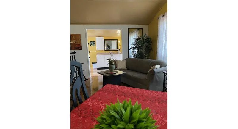 The open area of the cabin includes the living room with a sofa and a dining area adjacent to the kitchen.