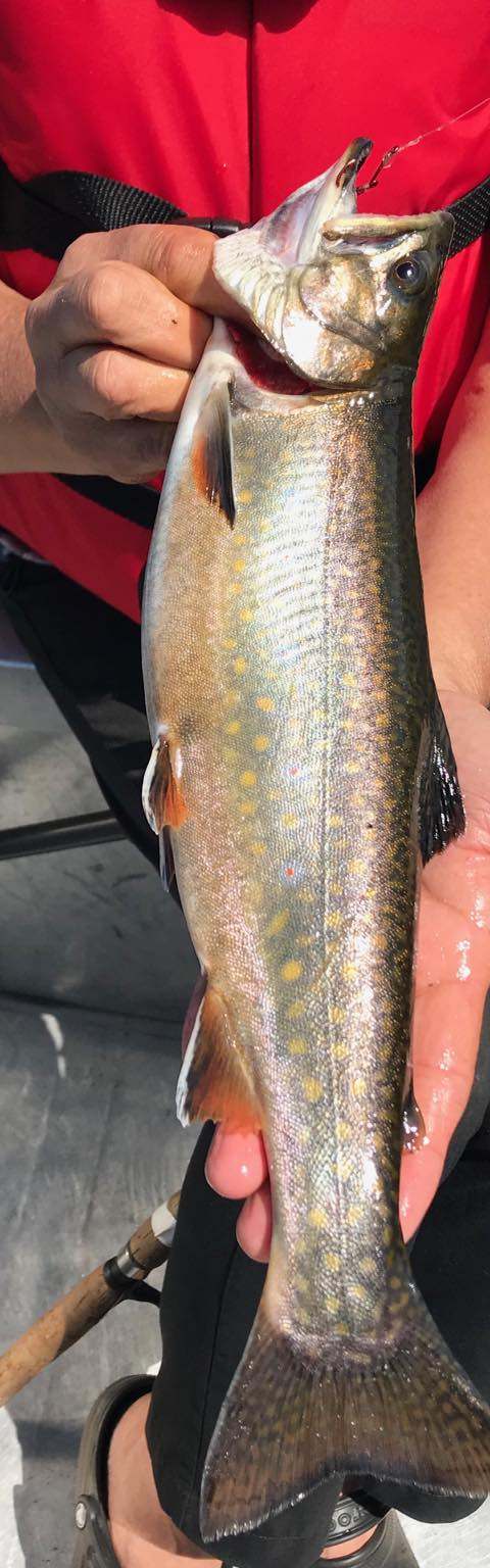 Pêcheurs avec une belle capture de truite chez Pourvoirie Lacs des Sables et Paradis, Côte-Nord, Québec