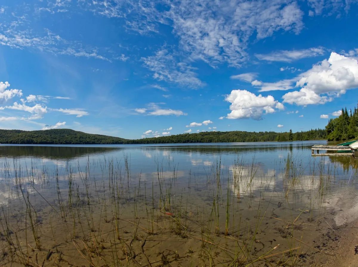 Photo de Pourvoirie Laurent Major dans les Laurentides, Qc