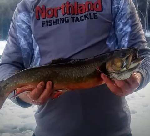 A great catch during ice fishing at Pourvoirie Michel St-Louis, Laurentides, Quebec