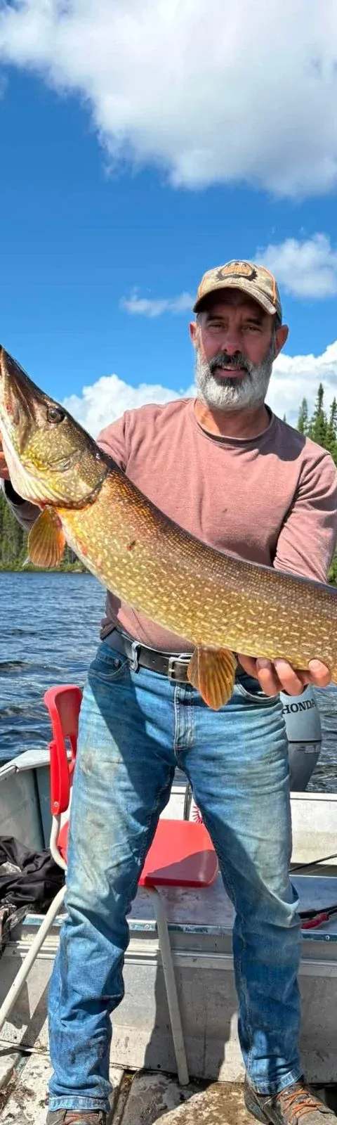 Fishing Northern pike at Pourvoirie Monet, Abitibi-Témiscamingue, Quebec — photo 2