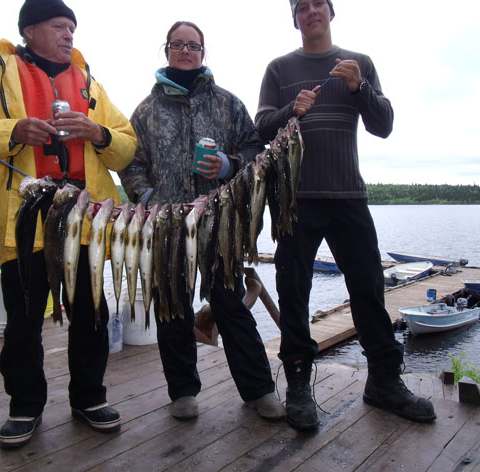 Pêche Doré chez Pourvoirie Némiscachingue, Laurentides, Québec — photo 2