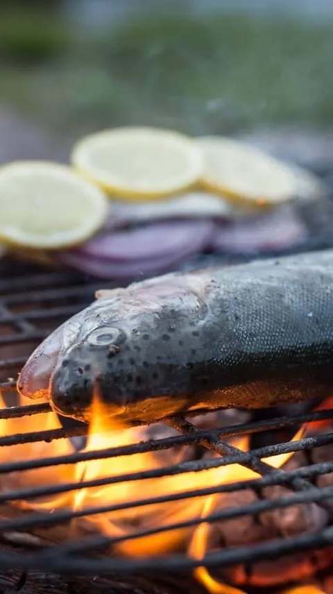 Fresh fish grilling at camp at Pourvoirie Pignon Rouge Mokocan, Lanaudière, Quebec