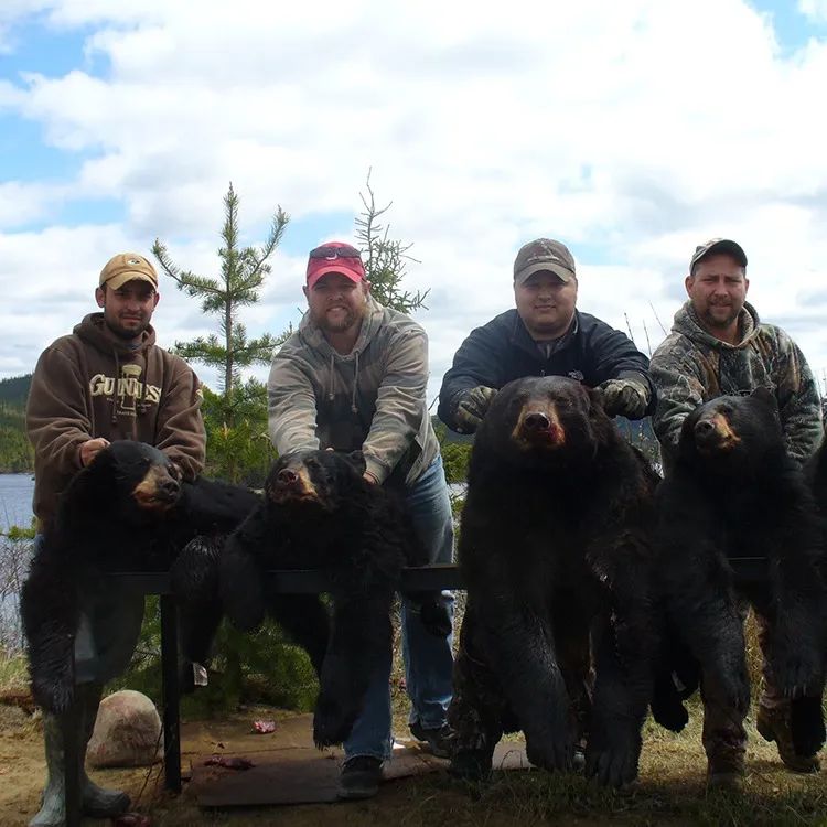 L'OURS CABIN — Pourvoirie Poulin de Courval – Pourvoirie Poulin de Courval