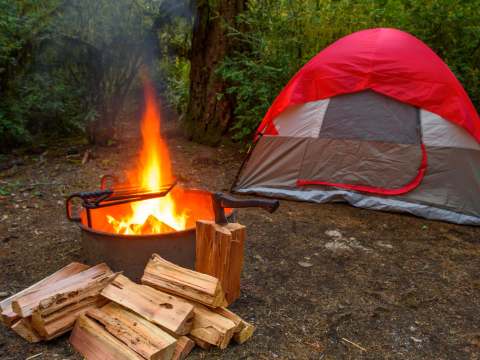 Un site de camping sauvage avec une tente, un feu de camp et du bois de chauffage à disposition.