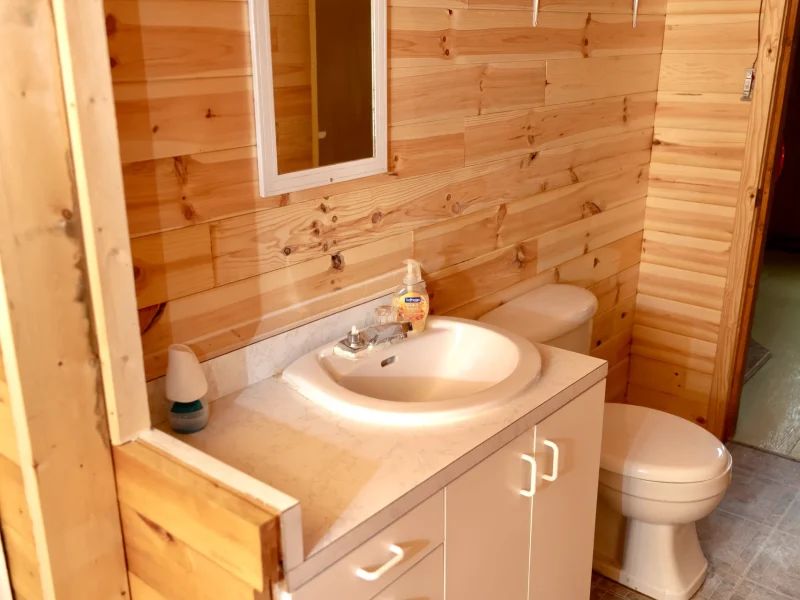 La salle de bain du chalet Helena dispose d'un lavabo avec comptoir et de murs en bois lambrissé.
