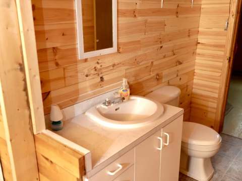 La salle de bain du chalet Helena dispose d'un lavabo avec comptoir et de murs en bois lambrissé.