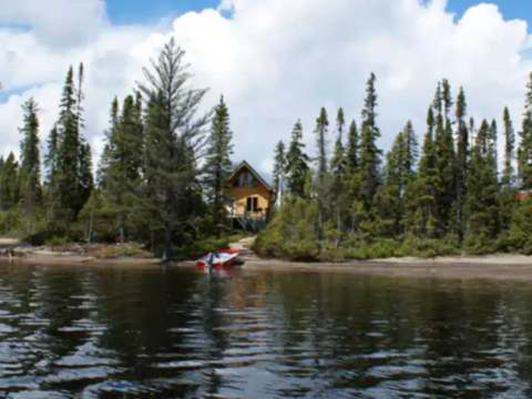 View from the lake of the Point 2 cabin surrounded by forest.