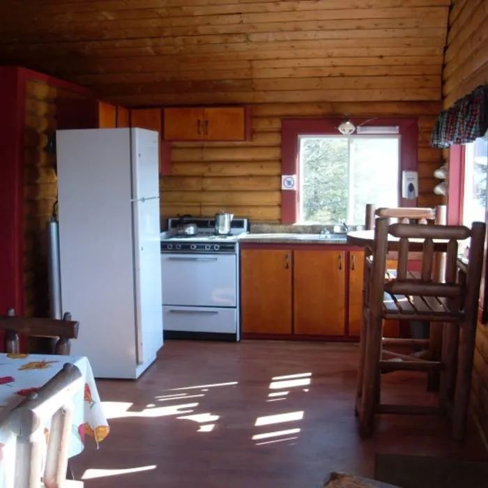 The chalet's functional kitchen is equipped with a stove and a refrigerator.