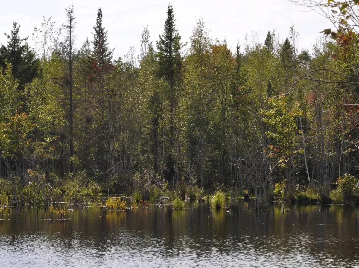Photo de Pourvoirie Royaume Mac en Montérégie, Qc