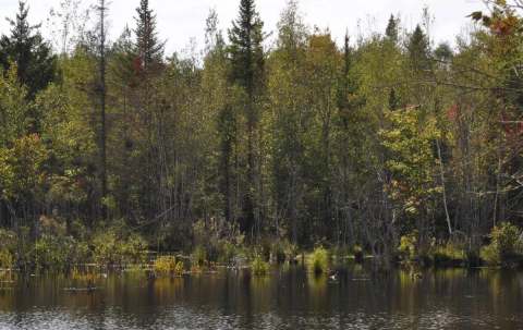 Photo of Pourvoirie Royaume Mac in Montérégie, QC