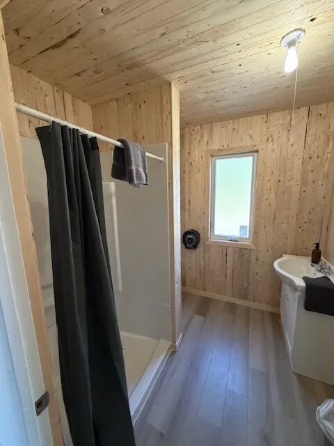 The cabin's bathroom features an enclosed shower, a sink, and natural wood walls.