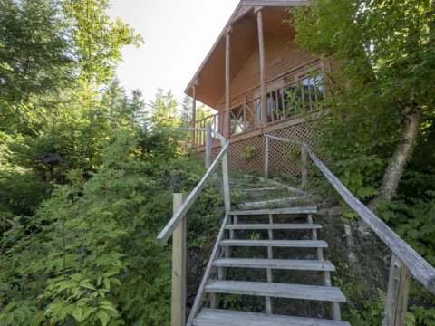 Wooden stairs lead up to the cabin nestled in the forest.