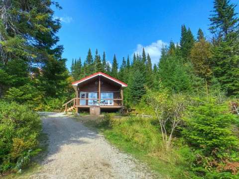Le chalet Paul se situe en forêt, offrant un espace extérieur avec une galerie et une table de pique-nique.