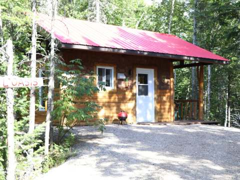 Le chalet L'Oasis avec son toit rouge est situé en bordure de forêt.