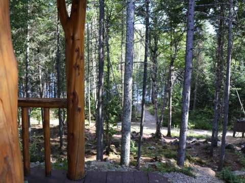 Vue sur la forêt depuis la galerie en bois du mini chalet Oasis.