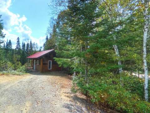 Le mini chalet Le St-Régis est situé en forêt près d'un chemin boisé.