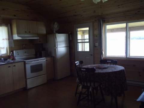 The cabin's equipped kitchen features a dining table and a view of the outdoors.