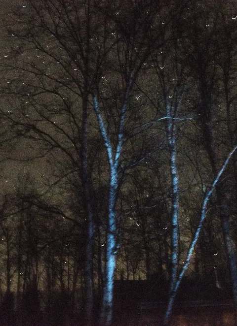 Night view of Pourvoirie Tawanipi at Pourvoirie Tawanipi, Outaouais, Quebec