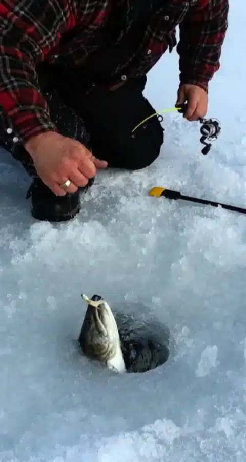 Saison de la pêche blanche sur le lac chez Pourvoirie Tisonagan, Outaouais, Québec