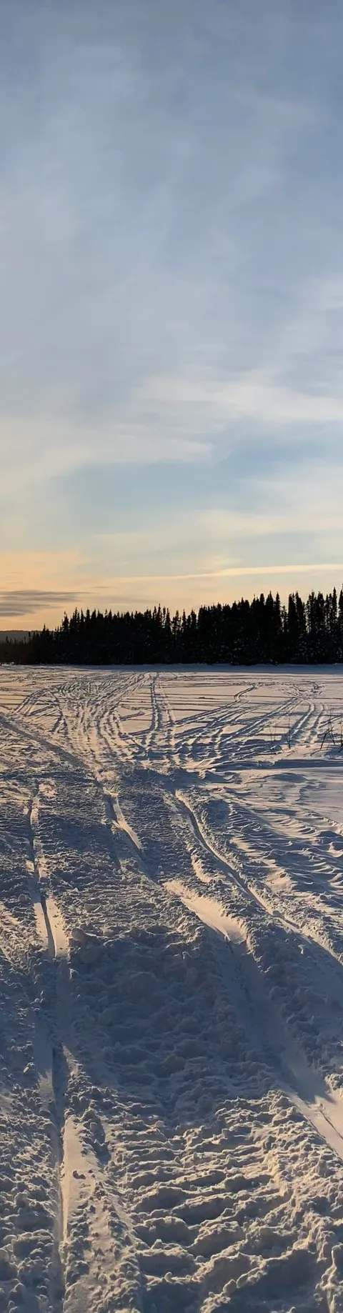 Brook trout catch on the wilderness lakes at Aventure Wapishish, Saguenay–Lac-Saint-Jean, Quebec