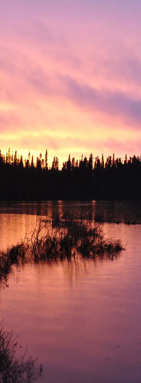 Memories of a great trout catch at Aventure Wapishish, Saguenay–Lac-Saint-Jean, Quebec
