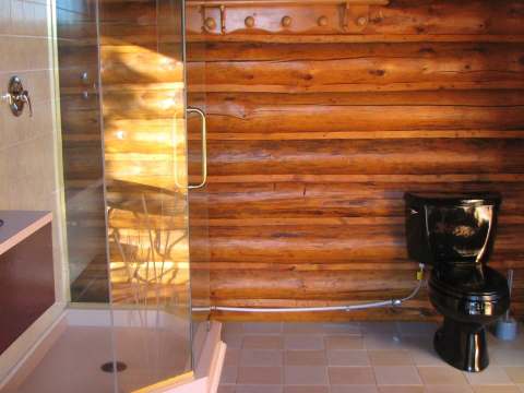 Cette salle de bain de chalet comprend une cabine de douche vitrée et des murs en bois rond.