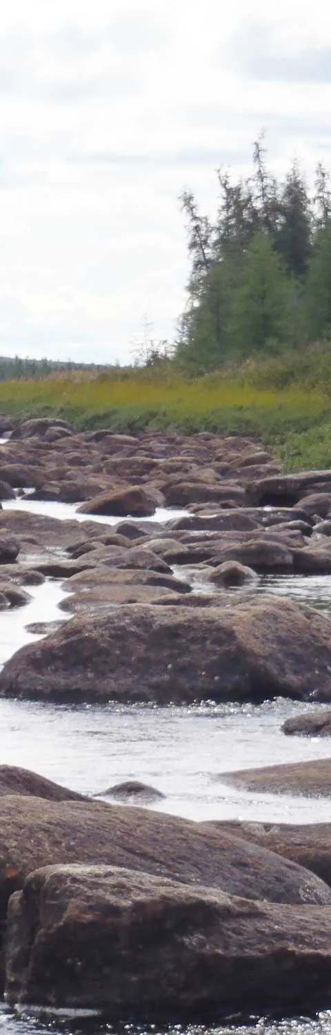 Paysage du nord du 55e parallèle. chez Pourvoyeurs de la Rivière Delay, Côte-Nord, Québec