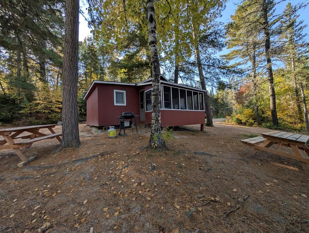 Exterior view of cabin 5 surrounded by trees with picnic tables and an outdoor barbecue.