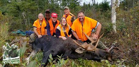 Hunters proud of their bull moose harvest at Pourvoirie Rudy 2015, Laurentides, Quebec