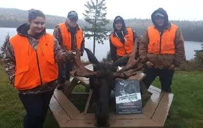 Harvesting a beautiful bull moose at Pourvoirie Rudy 2015, Laurentides, Quebec